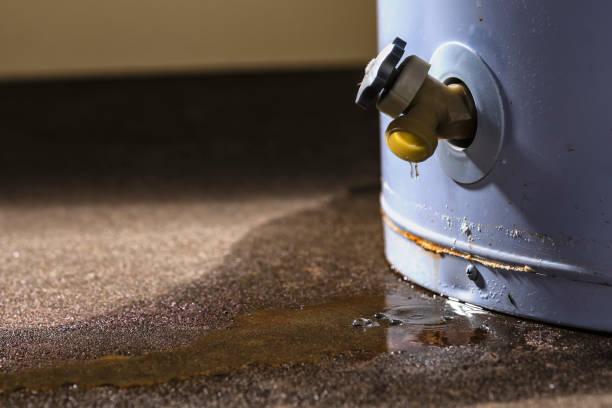 Fire Damage Restoration in Zephyrhills South, FL