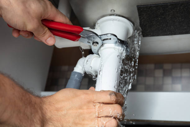 Best 24-hour water damage restoration  in Zephyrhills South, FL