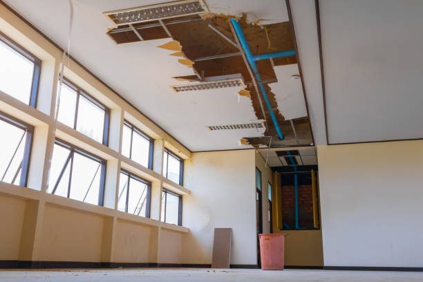 Trusted Zephyrhills South, FL Water damage restoration Experts
