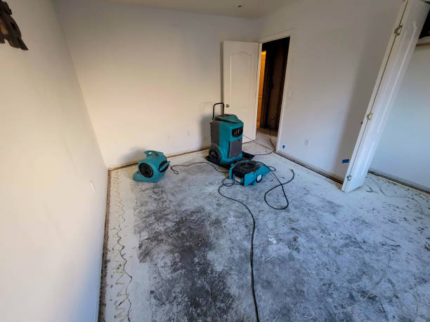 Best Carpet water damage restoration  in Zephyrhills South, FL