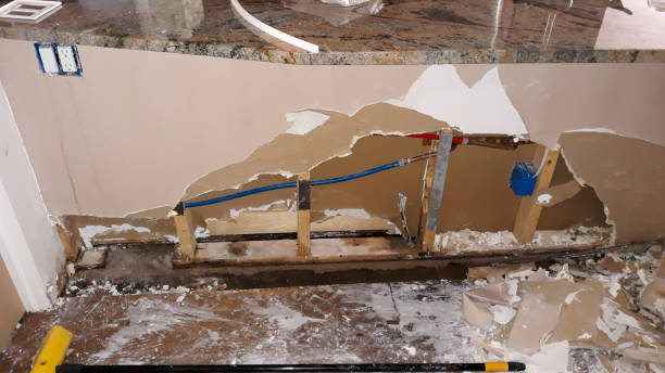Best 24/7 water damage repair  in Zephyrhills South, FL