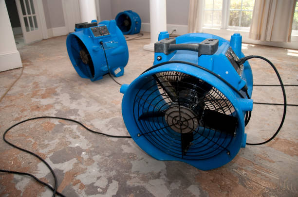 Best Flooded house restoration  in Zephyrhills South, FL