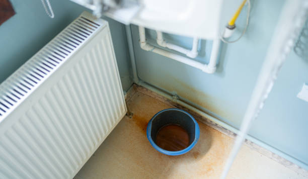 Best Emergency water damage restoration  in Zephyrhills South, FL