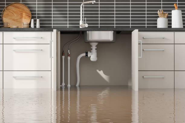 Best Water damage cleanup near me  in Zephyrhills South, FL