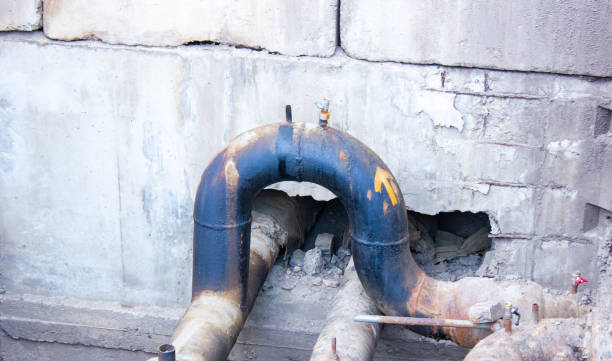 Best Professional water damage repair  in Zephyrhills South, FL