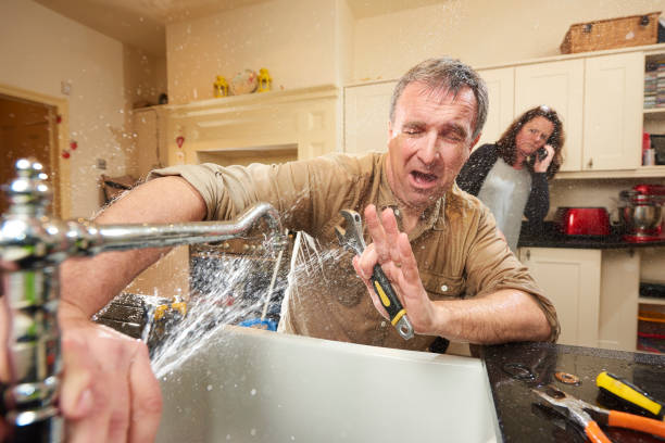 Best Water damage contractors near me  in Zephyrhills South, FL